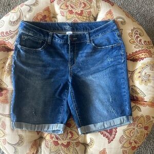 Women’s Time and Tru Size 16 Denim Vintage Jean Shorts